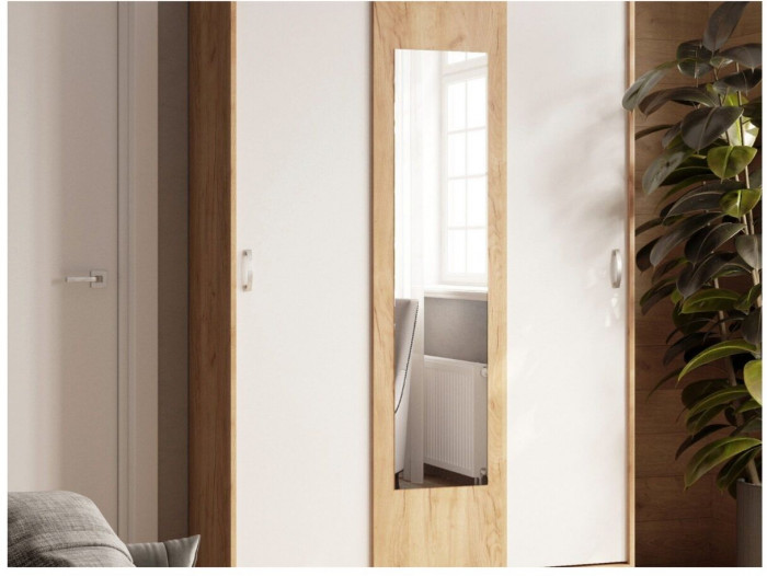 Шкаф-купе Бася белый/дуб крафт золотой