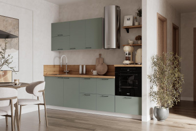 КГ 2550 Эмаль, Олива  Арника РМ в.5