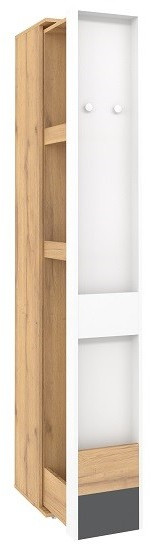 Шкаф МЦН Лойс 85